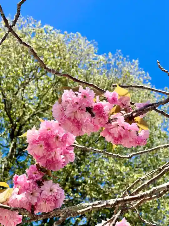 鹿島台神社(宮城県)