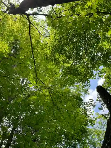 新屋山神社(山梨県)