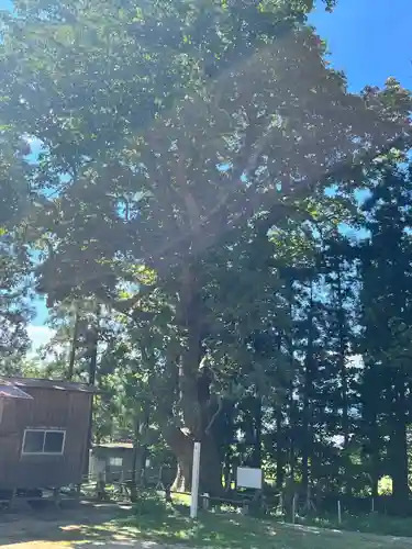 光清寺(山形県)