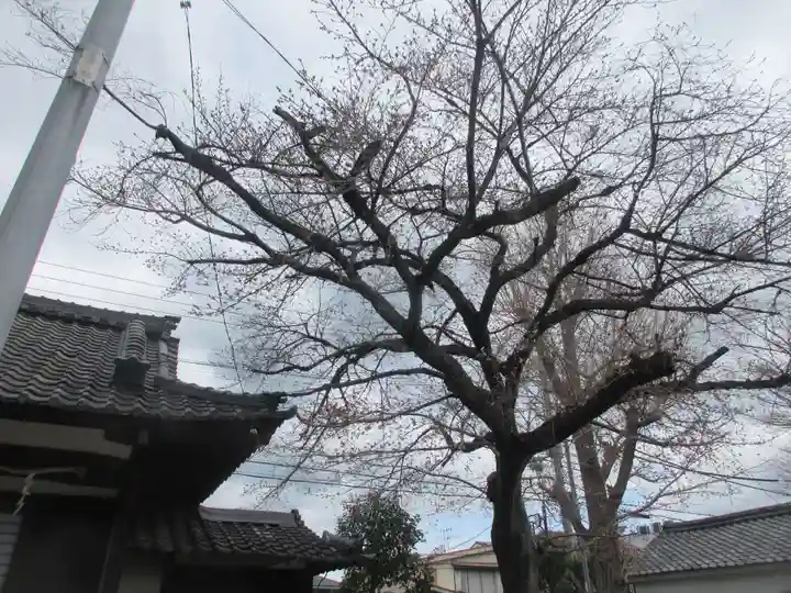 膳所神社(滋賀県)