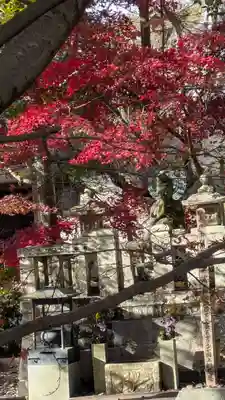 光明寺（粟生光明寺）(京都府)