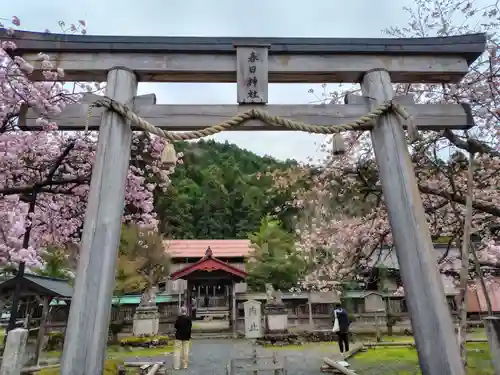 春日神社の御朱印