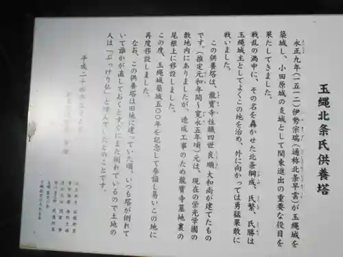 龍寳寺（龍宝寺）の歴史