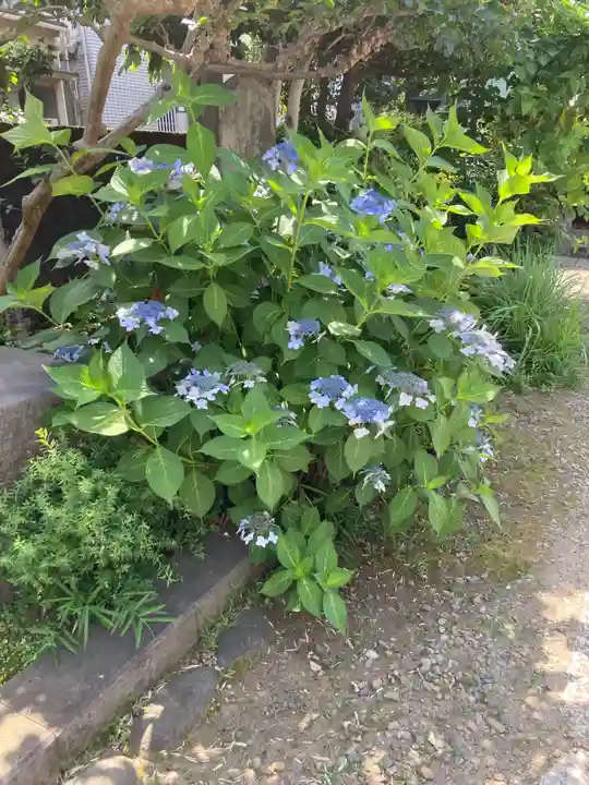 法善寺(東京都)
