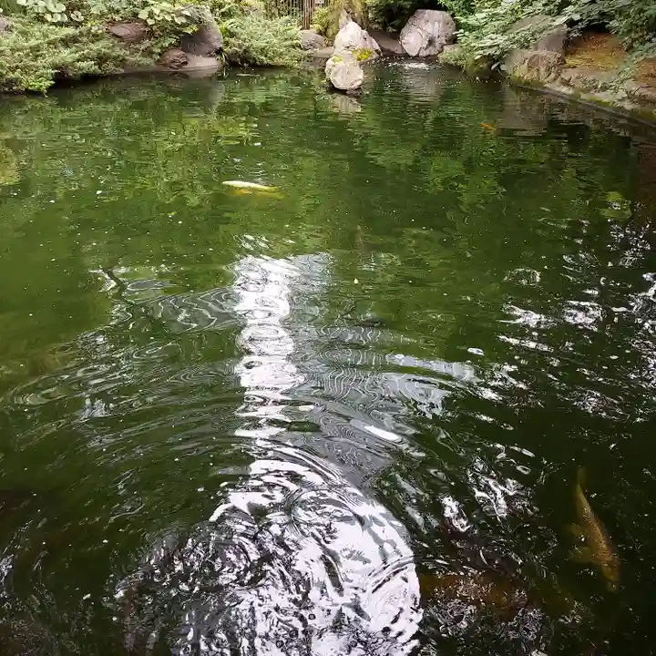 愛宕神社(東京都)