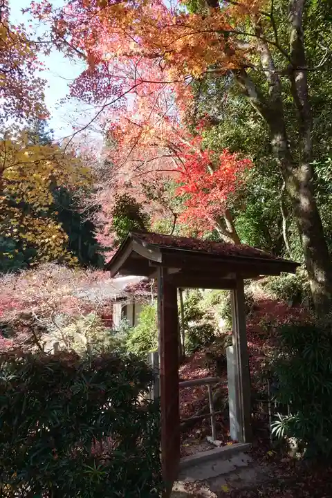 柳谷観音 楊谷寺の庭園
