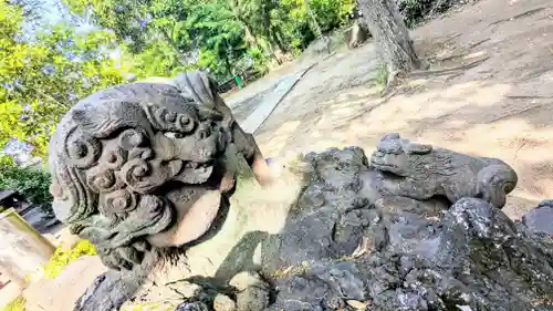 今井神社の狛犬