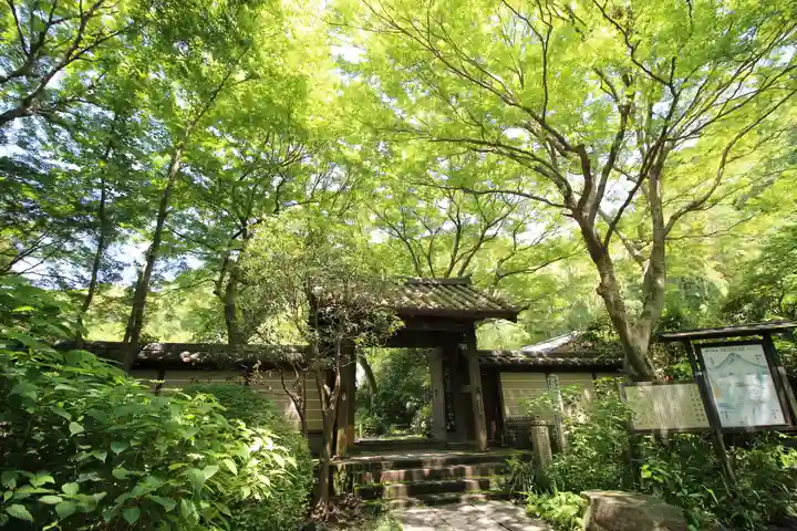 瑞泉寺(神奈川県)