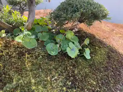 西方山極楽寺(岐阜県)