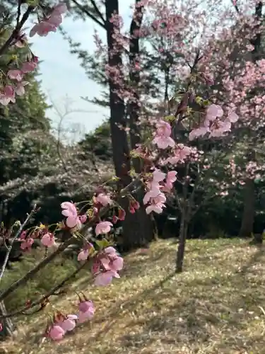 群馬県護国神社(群馬県)
