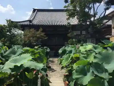 大蓮寺の本殿・本堂