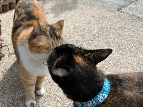 秩父札所十三番 慈眼寺(埼玉県)