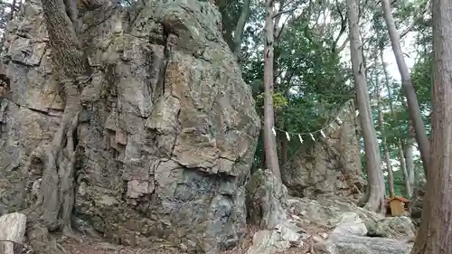 渭伊神社の自然