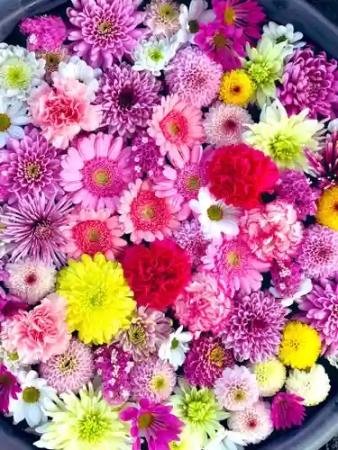 鹿島台神社の手水舎