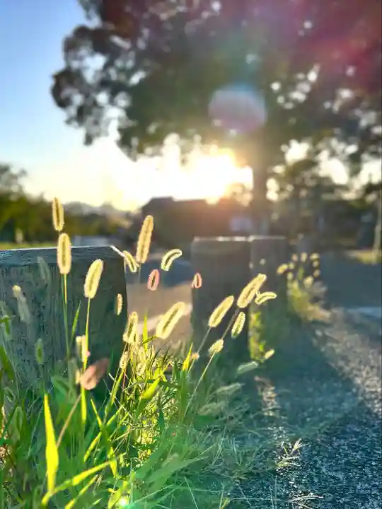 白鳥神社(長野県)