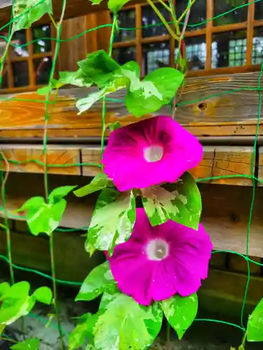 串間神社(宮崎県)