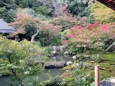 実相院門跡(京都府)