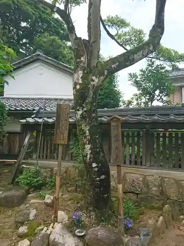 天満神社の自然