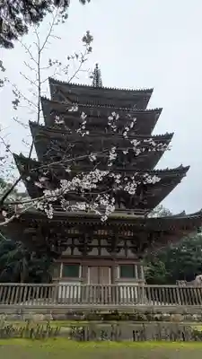 醍醐寺(京都府)
