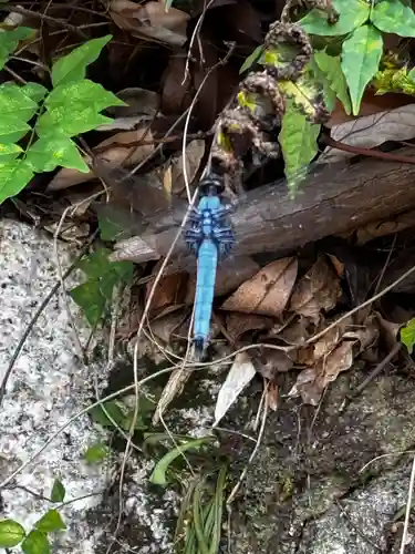 尊勝院(京都府)