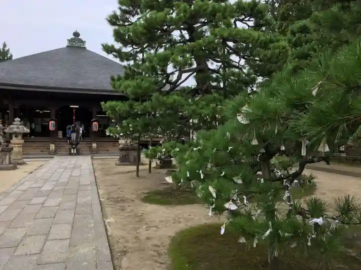 智恩寺の本殿・本堂