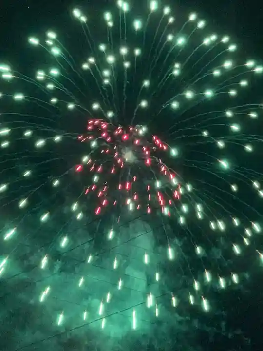 大宮温泉神社(栃木県)