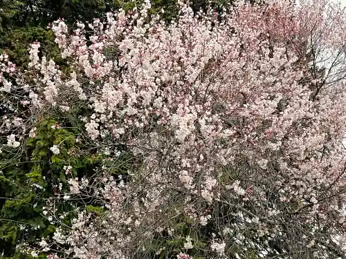 南宮大神社の自然