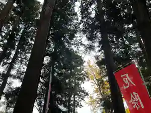 大宮温泉神社(栃木県)(2022年11月23日(水) 08時05分33秒投稿)