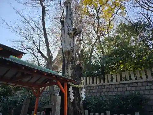 難波大社　生國魂神社(大阪府)