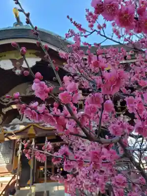 諏訪神社(東京都)