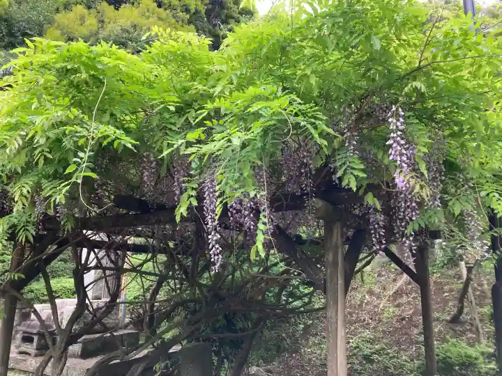 豊顕寺(神奈川県)
