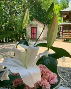 滑川神社 - 仕事と子どもの守り神(福島県)(2022年05月19日(木) 15時40分38秒投稿)