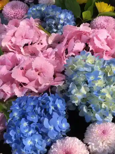 鹿島台神社の自然