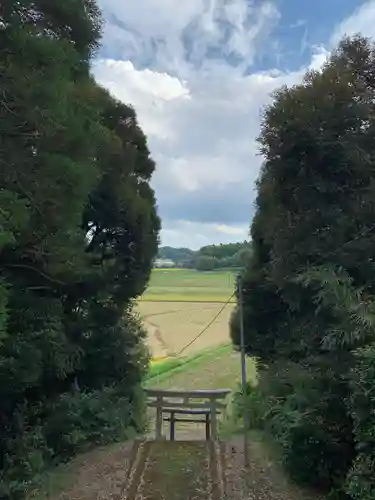 白山神社の鳥居