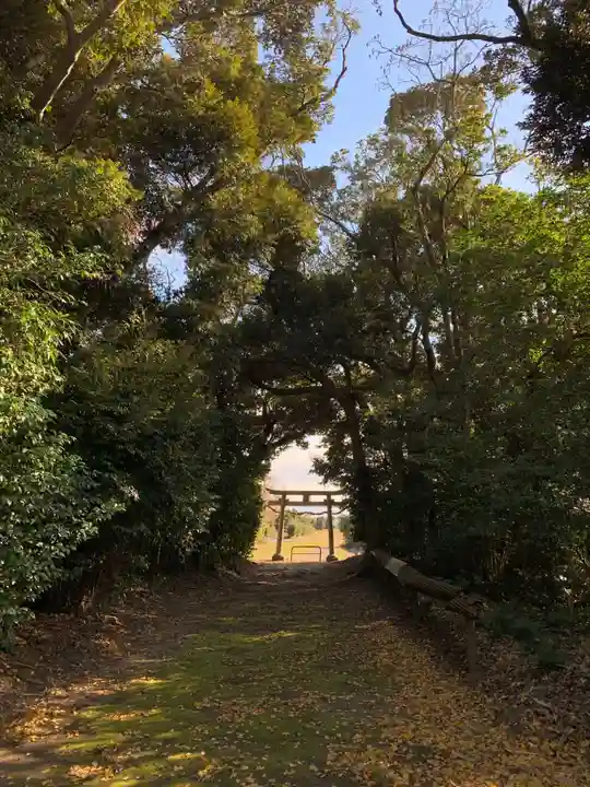 水神社(千葉県)