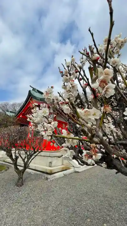 足利織姫神社の自然
