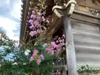 高西寺(東京都)