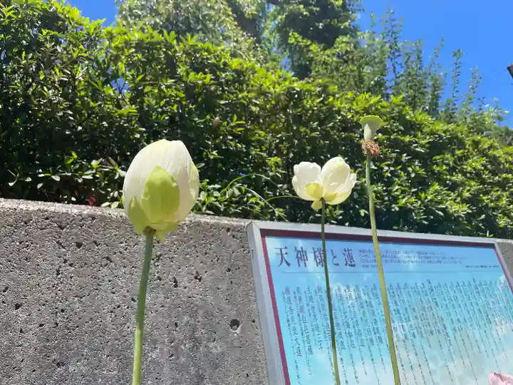 綱敷天満宮のその他建物
