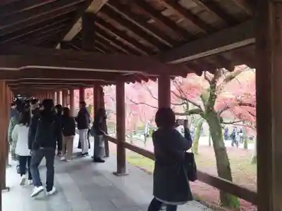 東福禅寺(東福寺)のその他建物