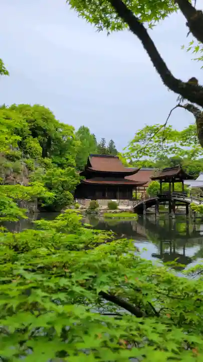 永保寺の{uncategorized: "未分類", other: "その他", undefined: "問題あり", building: "その他建物", grave: "お墓", sacred_gate: "鳥居", guardian: "狛犬", statue: "像", buddha: "仏像", history: "歴史", nature: "自然", garden: "庭園", animal: "動物", pagoda: "塔", temizu: "手水舎", mountain_gate: "山門・神門", sanctuary: "本殿・本堂", subordinate: "末社・摂社", art: "芸術", scenery: "景色", jizo: "地蔵", ema: "絵馬", goshuin: "御朱印", omikuji: "おみくじ", items: "授与品その他", amulet: "お守り", goshuincho: "御朱印帳", eats: "食事", festival: "お祭り", votive_dance: "神楽", shichigosan: "七五三参", wedding: "結婚式", experience: "体験その他", initially: "初詣", around: "周辺", anti_infection: "感染症対策"}