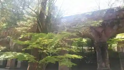 南禅寺のその他建物