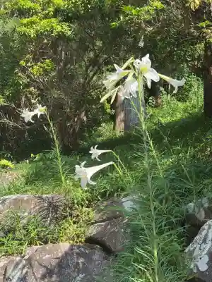 円覚寺(神奈川県)