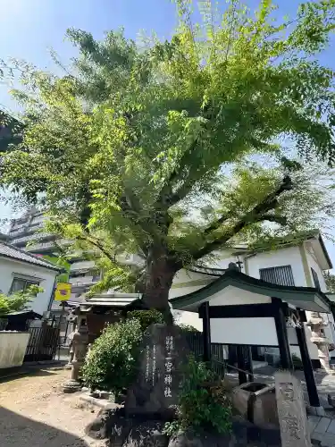 二宮神社の{uncategorized: "未分類", other: "その他", undefined: "問題あり", building: "その他建物", grave: "お墓", sacred_gate: "鳥居", guardian: "狛犬", statue: "像", buddha: "仏像", history: "歴史", nature: "自然", garden: "庭園", animal: "動物", pagoda: "塔", temizu: "手水舎", mountain_gate: "山門・神門", sanctuary: "本殿・本堂", subordinate: "末社・摂社", art: "芸術", scenery: "景色", jizo: "地蔵", ema: "絵馬", goshuin: "御朱印", omikuji: "おみくじ", items: "授与品その他", amulet: "お守り", goshuincho: "御朱印帳", eats: "食事", festival: "お祭り", votive_dance: "神楽", shichigosan: "七五三参", wedding: "結婚式", experience: "体験その他", initially: "初詣", around: "周辺", anti_infection: "感染症対策"}