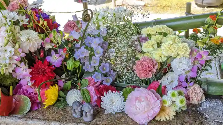 勝林寺(京都府)