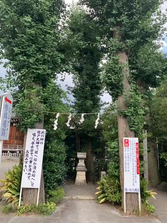 亀ケ池八幡宮の自然