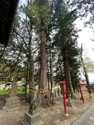 熊野神社(岩手県)