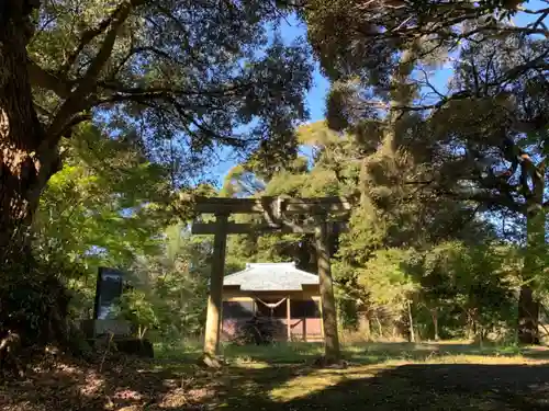 天津日神社の鳥居