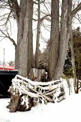 清里神社(北海道)