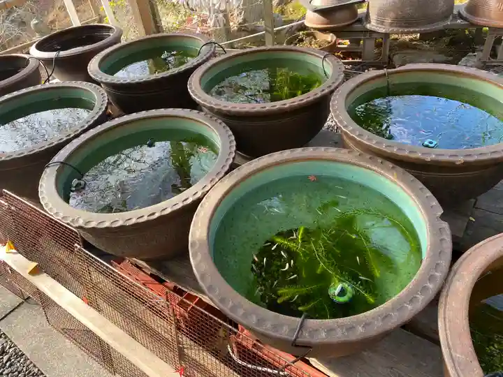 正法寺(滋賀県)