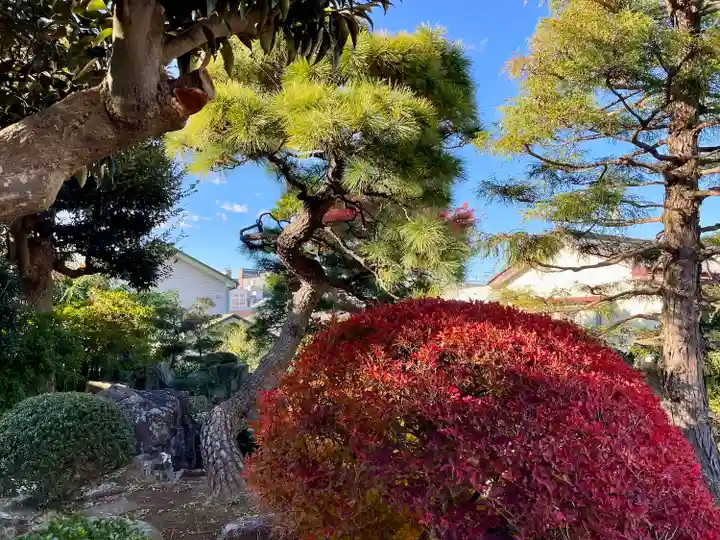 赤城神社(千葉県)